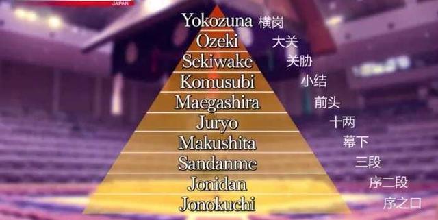 曼尼亚伯勒:日本女明星为什么更喜欢相扑运动员？
