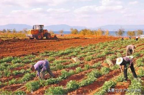 依靠独角仙能发家致富吗，依靠副业可以发家致富吗你怎么看