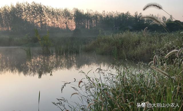 动物之森矛尾鱼雨天大海:秋季下过雨后去钓鱼，鱼不开口是什么原因？