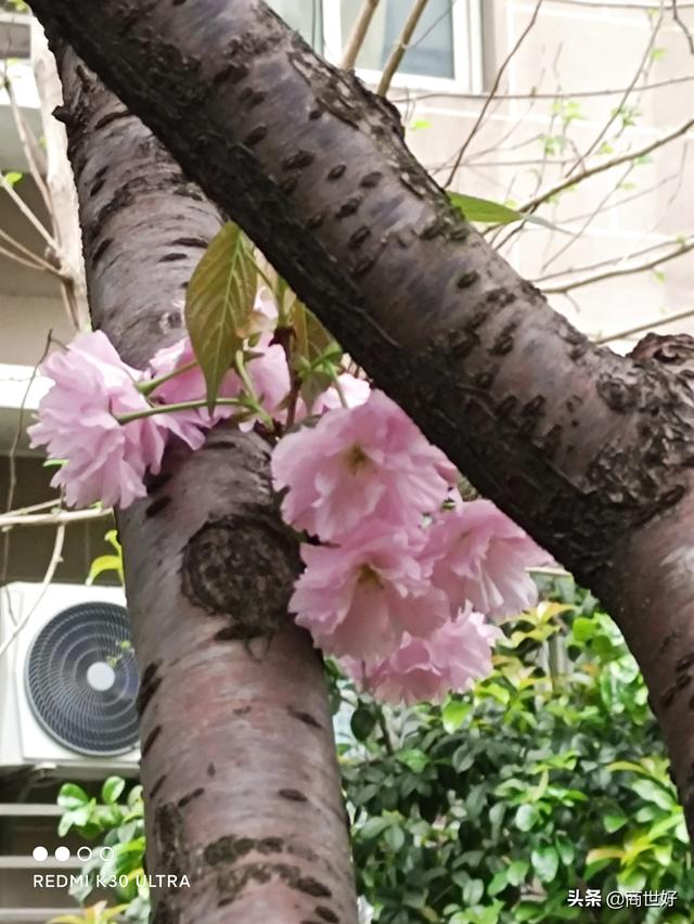 企业退休65岁以后,会有什么补贴呢？