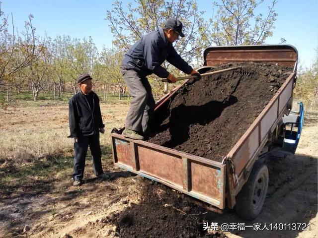 丽水仓鼠待领吧:新手养仓鼠要买什么，有什么好的淘宝店推荐吗？