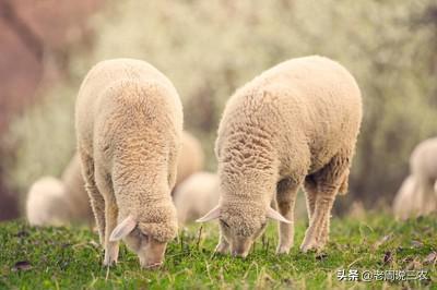 如何避免怀孕,如何避免怀孕采取什么方法最好