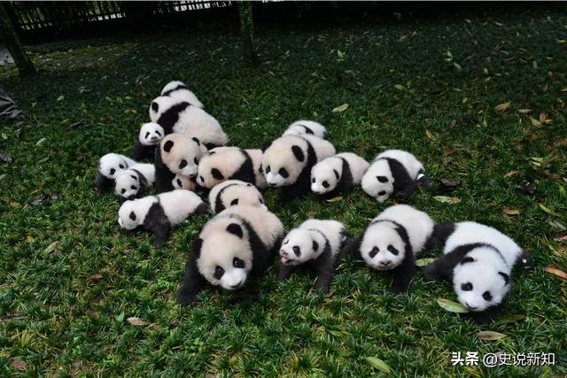 恐怖灵异事件龙:老人传言中国近代出现过“龙”，有人亲眼看到过，是真的吗？