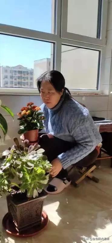 没有狗活不下去在线看:这年代单身就活不下去吗？