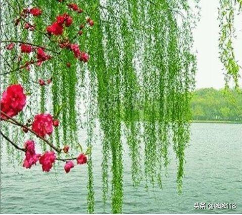 《虞美人》(李煜)表达了诗人怎样的思想感情？怎么评价？