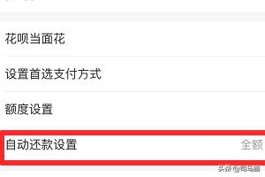 花呗如何还款,花呗怎么还款，花呗自动还款？