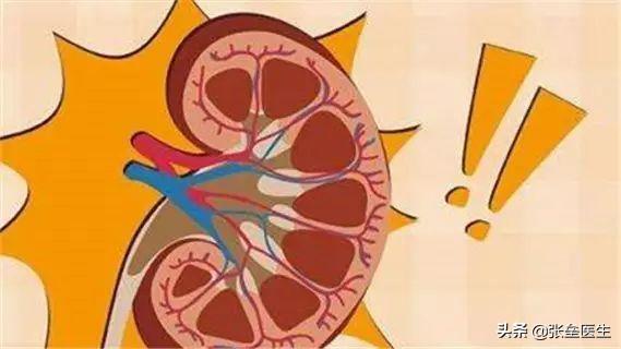 腎養生知識加圖片,世界腎臟病日，我們平時該如何養腎護腎？