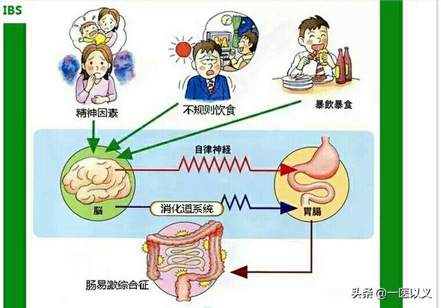 匹维溴铵片治什么病;匹维溴铵片治什么病作用是什么