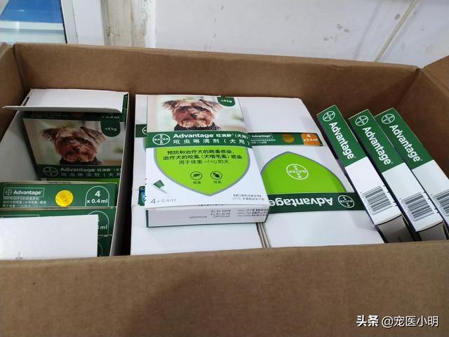 拜宠爽作用原理:狗子有蜱虫用什么内服药处理？ 拜宠爽体外驱虫