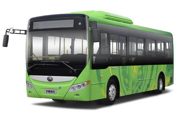 公交车新能源，你们所在的城市公交车是什么牌子的，新能源车占比多吗