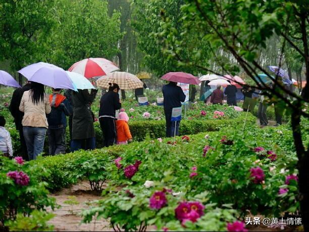 洛阳纸贵:“洛阳纸贵”说的是什么？和洛阳有什么关系？