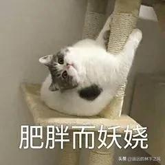 幽默有哲理的句子有哪些？
