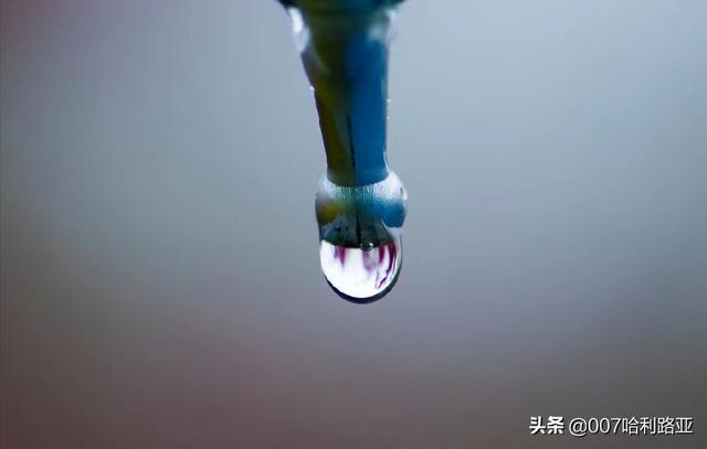 现在有哪些很火的社交电商？