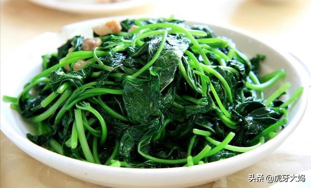 6种会带来晦气的盆栽绿植,绿萝的危害是什么？红薯叶能做室内绿化吗？