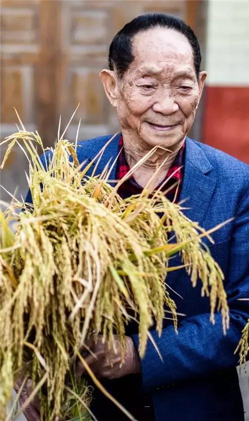 果静林:你希望拍一部袁隆平一生的电视剧吗？你认为谁出演最合适？