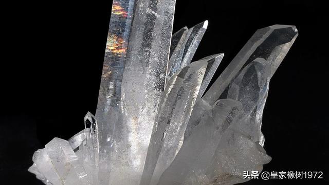 上官云相:为什么棉花和白糖玻璃也是战略物资？