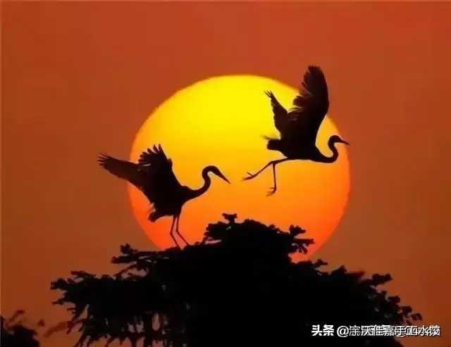 大人物电视剧:影视剧中以大人物或小人物为主角，更喜欢哪种为什么