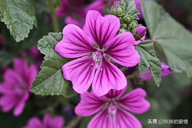 带有人生哲理的句子:有关人生哲理的经典句子？