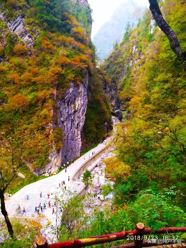 你们的手机里的祖国的大好河山照片有什么？发出来看一下吧？