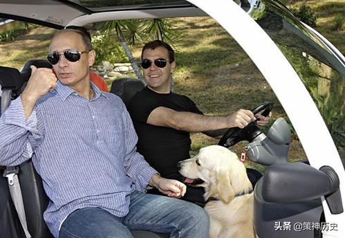 搜救犬 班克 和 斯献:俄罗斯总理梅德韦杰夫突然宣布政府全体辞职，意欲何为？
