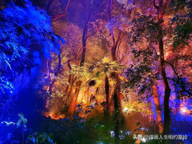 科威特73度高温:81℃高温！地球“发烧了”，大家都要住进烤箱了吗？