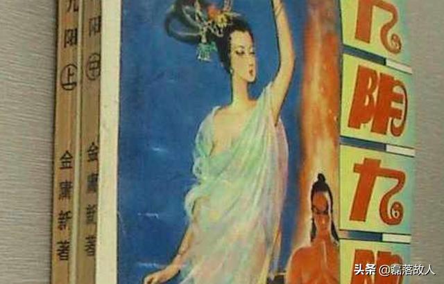 你看过一个名为“金庸新”的作者写的《九阴九阳》吗？感觉怎么样？