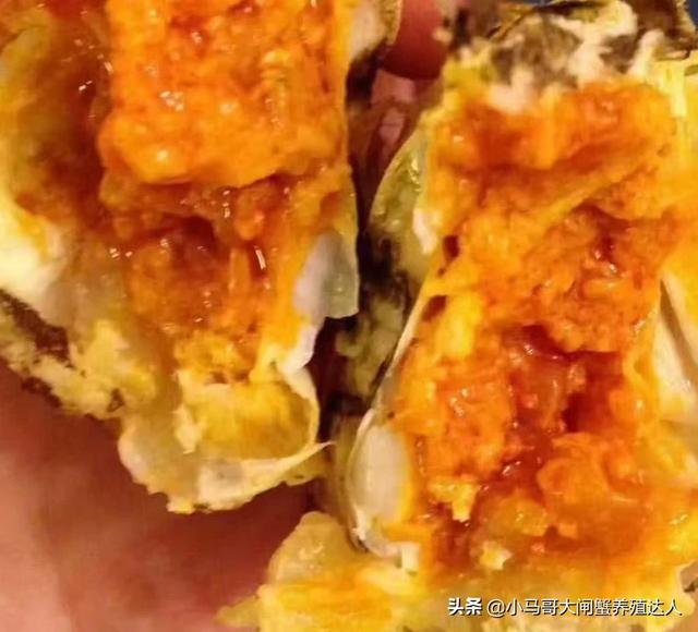 螃蟹动物性饲料:阳澄湖大闸蟹一生主要吃哪些食料？