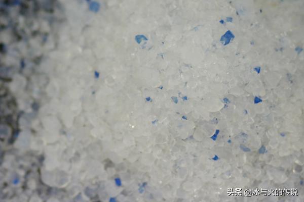 猫砂购买:常用的几款猫砂有何特点？