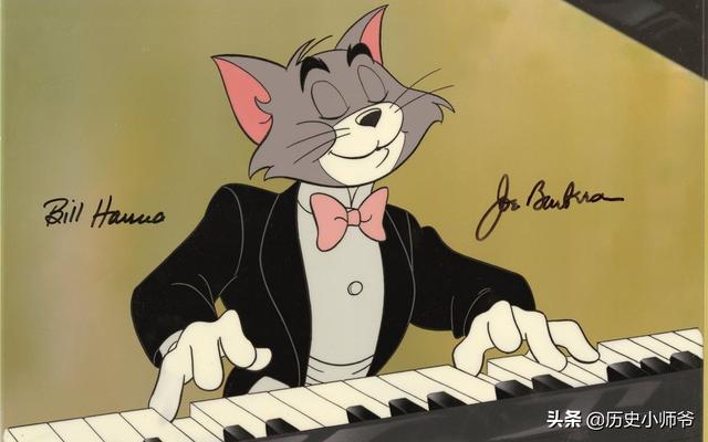 会弹琴的小猫咪图片:你的萌宠长什么样子，晒一晒各位的萌宠如何？