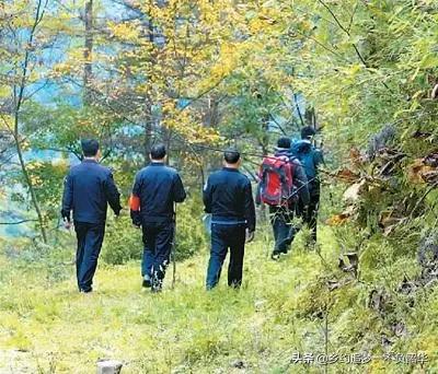 造福鸟招聘:给你三万一个月，当护林员，没有电，没有手机信号，你去吗？