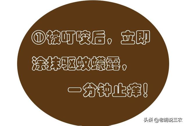 咬人的虫子:农村有一种肉眼看不到的小虫咬人很疼，它有名字吗？怎样对付它？