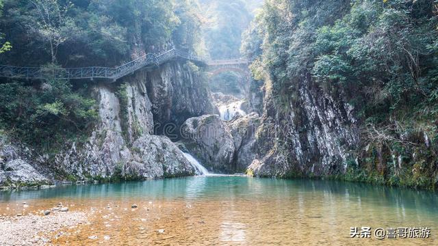 温州鹿城七彩神仙鱼价格:五一快到了，温州有哪些好玩的地方推荐？