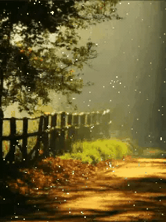 有什么女性犯下的恶性案件？