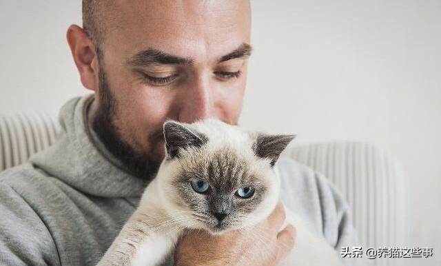 养猫的男人 全集:如何判断一个男孩子养猫的几个表现？