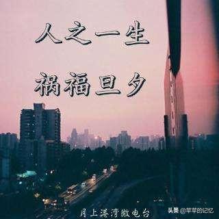 哈尔滨猫脸老太太事件:宠物，无辜老人，谁之过？