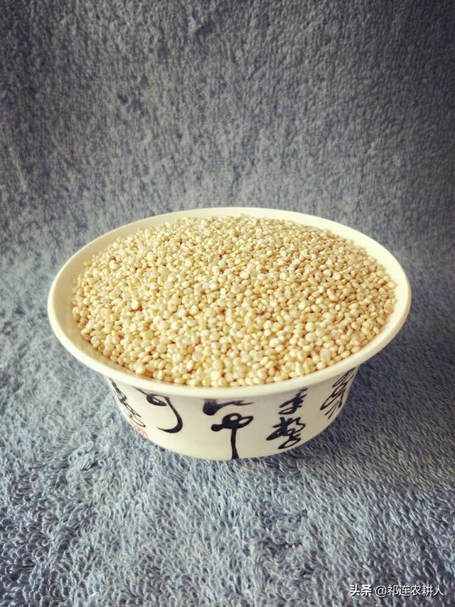 减脂期间,燕麦和藜麦,吃哪个更好？