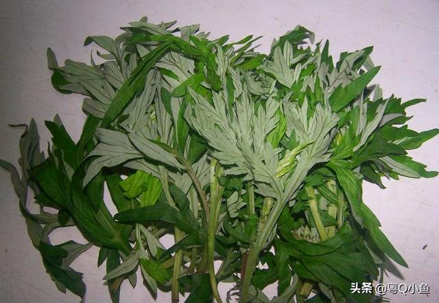 洗衣服灭蚊子:夏天一到，家里蚊子越来越多，请教大家有什么灭蚊好方法？