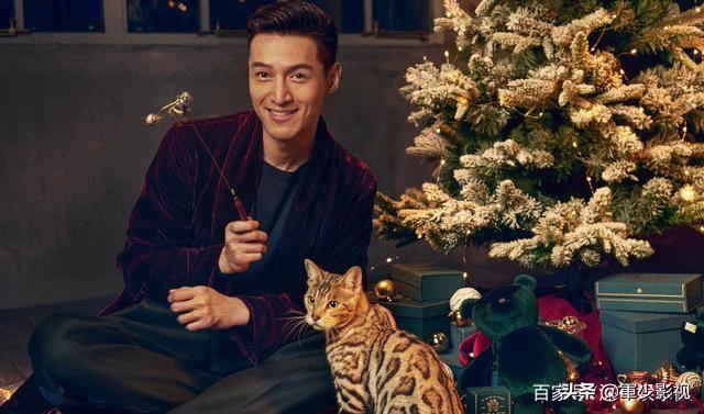 胡歌新剧:今年胡歌有新的电视剧上映吗？靠谱吗？
