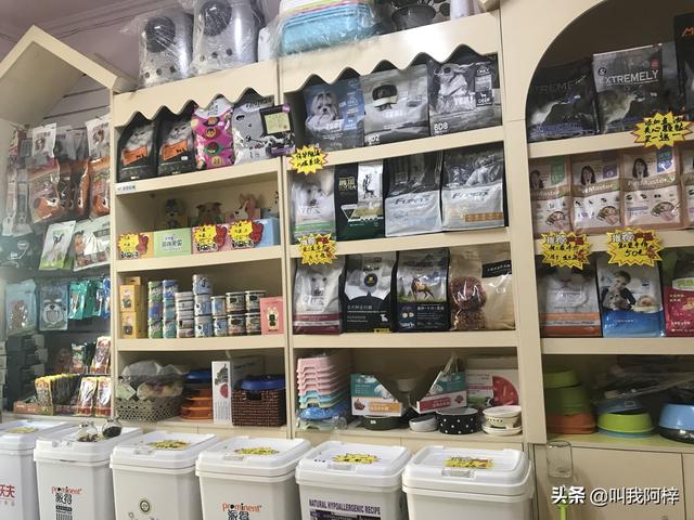 免费宠物店管理系统:做宠物店小程序需要什么功能？