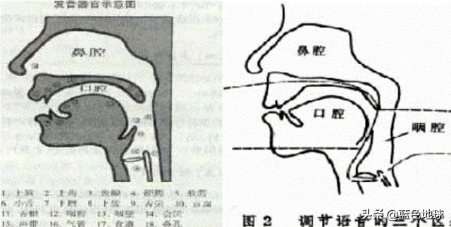 多伯曼犬:人类的语言形成之谜，如何解开呢？