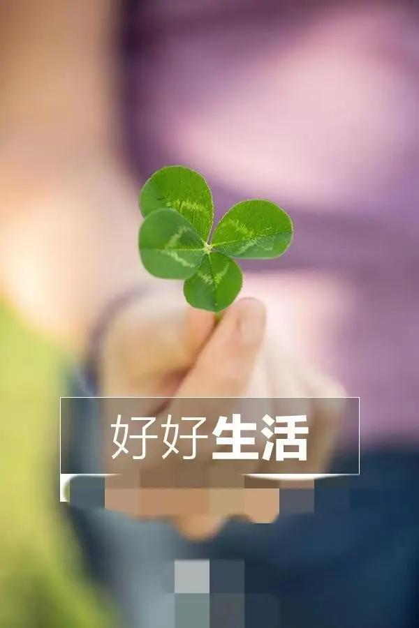 于月仙老公是谁啊:于月仙突然车祸去世，她的赔偿款和遗产怎样分配？