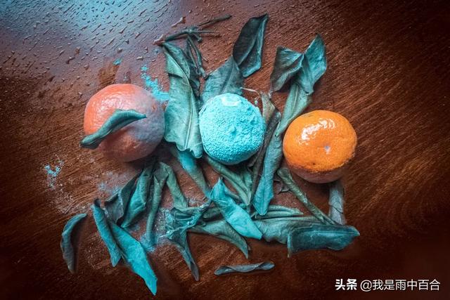 宁津县教师考试:2020年，你拍的最美的照片是什么，背后有什么故事？