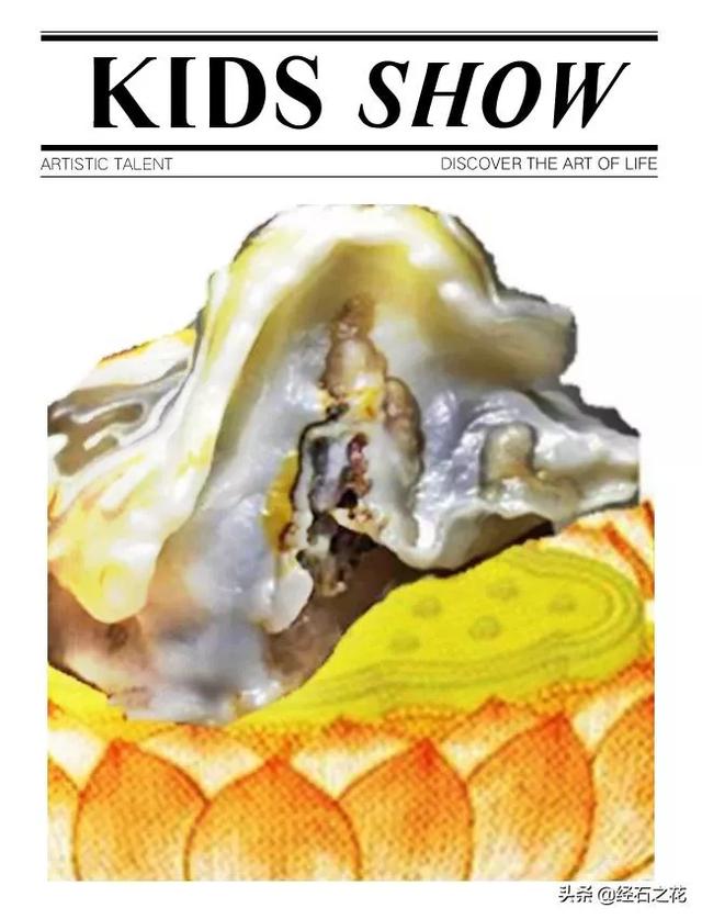 天然大化石原石图片,中国最具影响力的天然奇石有哪些？