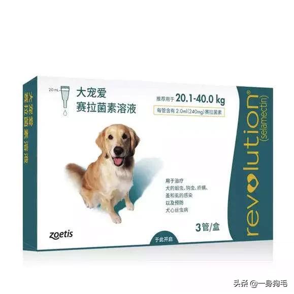 福来恩:大宠爱使用不当会导致猫脱毛吗？