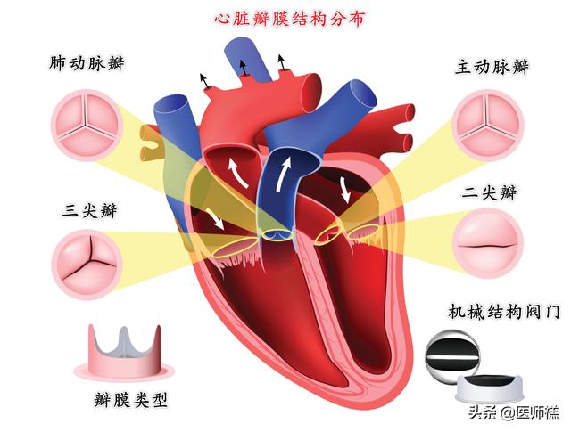 心脏病的早期症状:心脏病的早期症状预防 风湿性心脏病都有哪些症状？