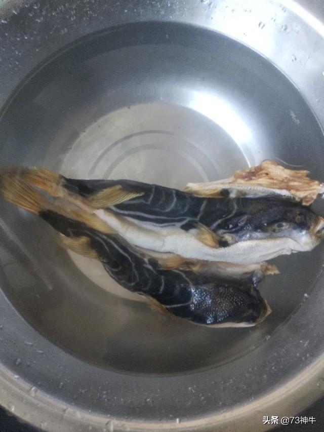 头条问答 河豚为什么好吃 14个回答