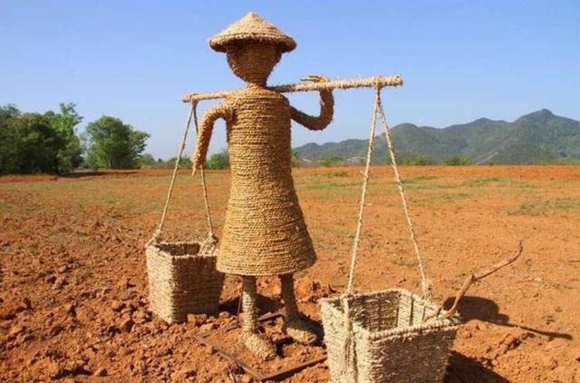 鸟网首页:玉米种植有哪些防鸟啄玉米芽的好办法？