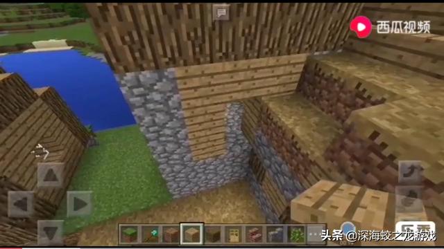 在《我的世界》里有哪些神种？