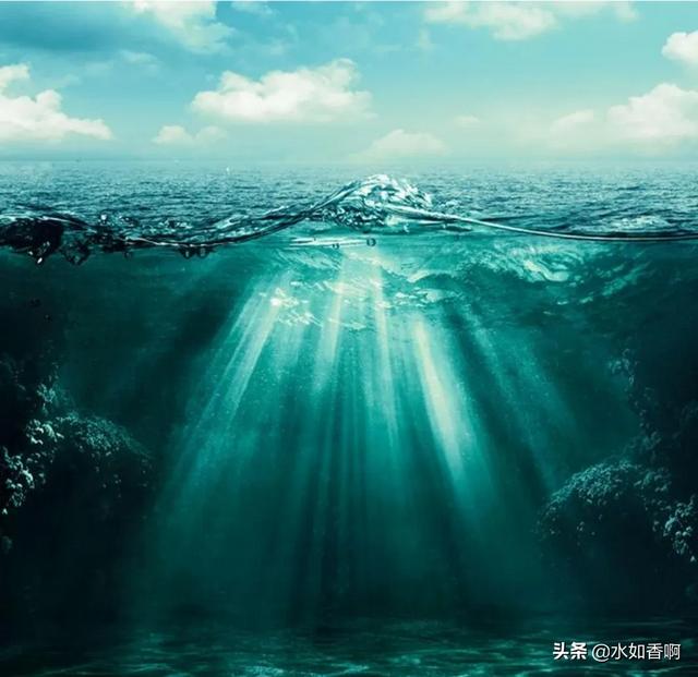 白百何素颜发福:白百何一直很火的，现在突然不行了吗