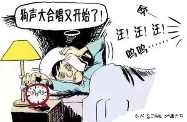 威海车主拖行虐狗事件:如何看待哈尔滨虐狗事件？